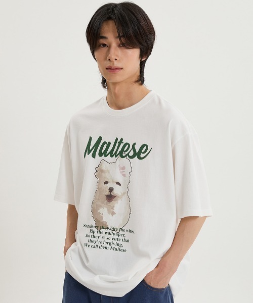 ☆韓国の人気☆【Bellialeu】☆Logo cotton shorts☆ org.jpg