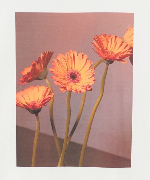 Steven Alan（スティーブンアラン）の「＜LISA KING × Steven Alan＞ARCHIVE TEE/Tシャツ（Tシャツ/カットソー・レディース・その他3/その他4/その他5・S）」の11枚目の写真