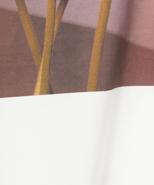 Steven Alan（スティーブンアラン）の「＜LISA KING × Steven Alan＞ARCHIVE TEE/Tシャツ（Tシャツ/カットソー・レディース・その他3/その他4/その他5・S）」の12枚目の写真