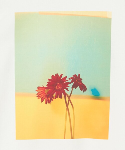 Steven Alan（スティーブンアラン）の「＜LISA KING × Steven Alan＞ARCHIVE TEE/Tシャツ（Tシャツ/カットソー・レディース・その他3/その他4/その他5・S）」の16枚目の写真