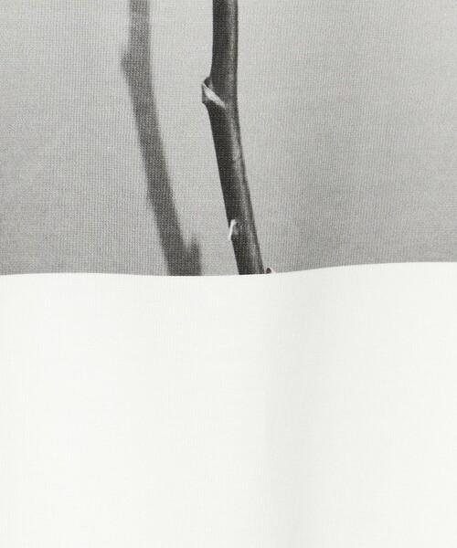 Steven Alan（スティーブンアラン）の「＜LISA KING × Steven Alan＞ARCHIVE TEE/Tシャツ（Tシャツ/カットソー・レディース・その他3/その他4/その他5・S）」の22枚目の写真