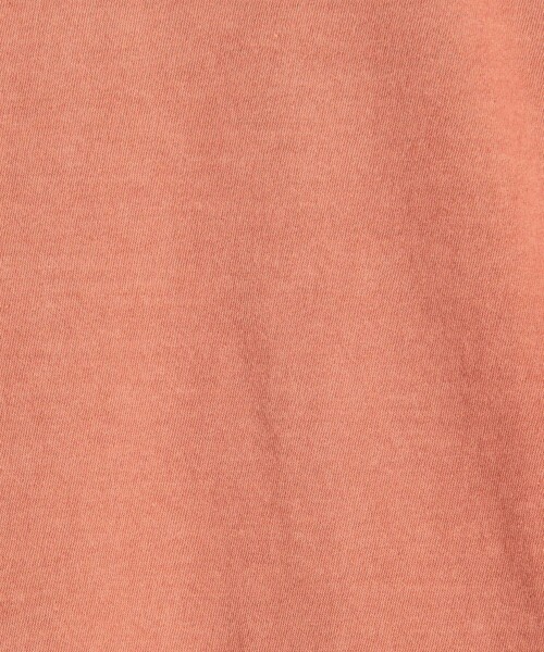JAMES PERSE（ジェームスパース）の「コットンジャージー ラウンジTシャツ MLJ3311（Tシャツ/カットソー・メンズ・ライトピンク/レッド/ライトブルー/グレー・1/0/2/3）」の21枚目の写真