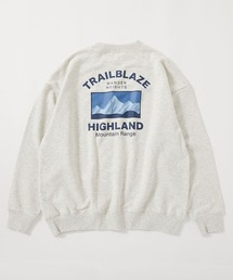 devirock（デビロック）の「大人 デビラボ プリント トレーナー（スウェット）」