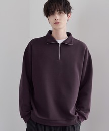 ASTRONOMY（アストロノミー）の「【イージーケア】コットンポンチハーフジップ長袖プルオーバー（その他トップス）」