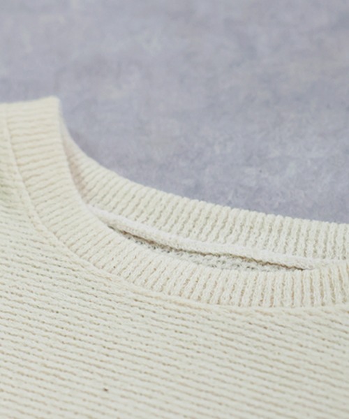antiqua(アンティカ)の「ドルマントップス(Tシャツ/カットソー・レディース・クリーム/グレー/ブラック・ONESIZE)」の14枚目の写真