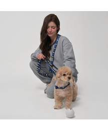 Bailey（ベイリー）の「犬の散歩ハンズフリーロープ（リード/ハーネス/首輪）」