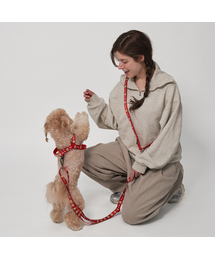 Bailey（ベイリー）の「犬の散歩ハンズフリーロープ（リード/ハーネス/首輪）」