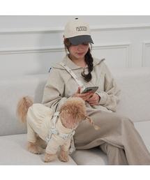 Bailey（ベイリー）の「犬の散歩ハンズフリーロープ（リード/ハーネス/首輪）」