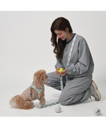 Bailey（ベイリー）の「犬の散歩ハンズフリーロープ（リード/ハーネス/首輪）」