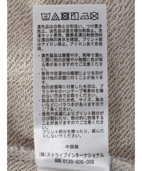 AMERICAN HOLIC（アメリカンホリック）の「裏毛ロゴプルオーバー1（スウェット・レディース・ホワイト系その他/グレー系その他・M/L）」の6枚目の写真