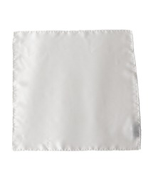 ESTNATION / シルクポケットチーフ