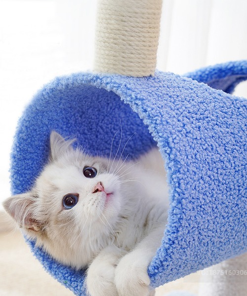 aimoha(アイモハ)の「動物形キャットタワー猫用おもちゃ(ペット用おもちゃ・レディース・オフホワイト/グリーン/ブルー・FREE)」の7枚目の写真