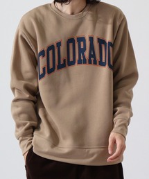 College logo print brushed lining sweatshirt / カレッジロゴ プリント 裏起毛トレーナー スウェット unisex