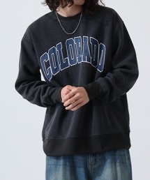 College logo print brushed lining sweatshirt / カレッジロゴ プリント 裏起毛トレーナー スウェット unisex