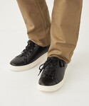 SHIPS Colors(シップス カラーズ)の「シューズ(スニーカー)」