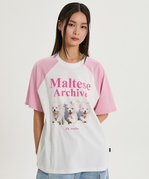 WaiKei(ワイケイ)の「A'GEM/9 × .kom 『WaiKei/ワイケイ』 Maltese archive raglan half sleeve T-shirt/マルチーズ ラグラン半袖カットソー(Tシャツ/カットソー・レディース・ライトピンク/アイボリー/グリーン/ブラック×ピンク・1)」の4枚目の写真