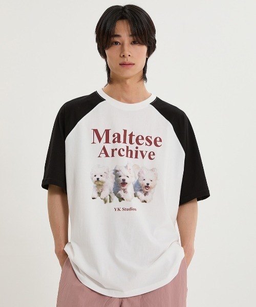 WaiKei(ワイケイ)の「A'GEM/9 × .kom 『WaiKei/ワイケイ』 Maltese archive raglan half sleeve T-shirt/マルチーズ ラグラン半袖カットソー(Tシャツ/カットソー・レディース・ライトピンク/アイボリー/グリーン/ブラック×ピンク・1)」の2枚目の写真