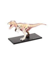bpr BEAMS（ビーピーアール ビームス ）の「4D MASTER / ANIMAL ANATOMY（インテリア雑貨）」