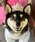 ONEKOSAMA OINUSAMAiIlRT}j́uybg NE [Iׂ2^Cv@Nbv@SR]iybgEFAjvbsNn2