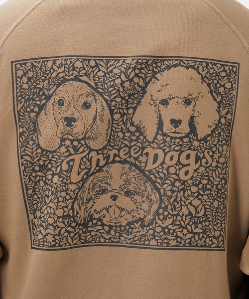 Common Noun(コモン ナウン)の「“CAT”&“DOG” Tsuguya Ishii 裏起毛ラグランハーフジップスウェット(スウェット・レディース・ベージュ/杢グレー/ネイビー・L/M/XL)」の17枚目の写真