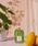 DR. VRANJES�i�h�b�g�[�������j�G�X�j�́uLIMONE CEDRATO �q�����[�l �`�F�h���[�g�r  500ml �f�B�t���[�U�[�i���[���t���O�����X/�����j�v�b���̑�
