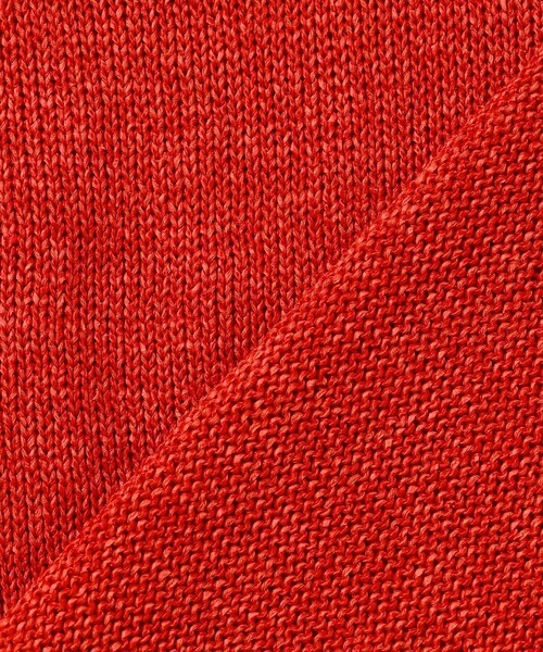 J.PRESS(ジェイプレス)の「DRY COMFORT クルーネック ニット(ニット/セーター・レディース・ローズ系/スカイブルー系/ベージュ系/アイボリー系・F)」の17枚目の写真