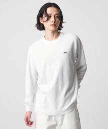 【別注】 ＜PENNEYS＞ニット ライク カットソー＜A DAY IN THE LIFE＞