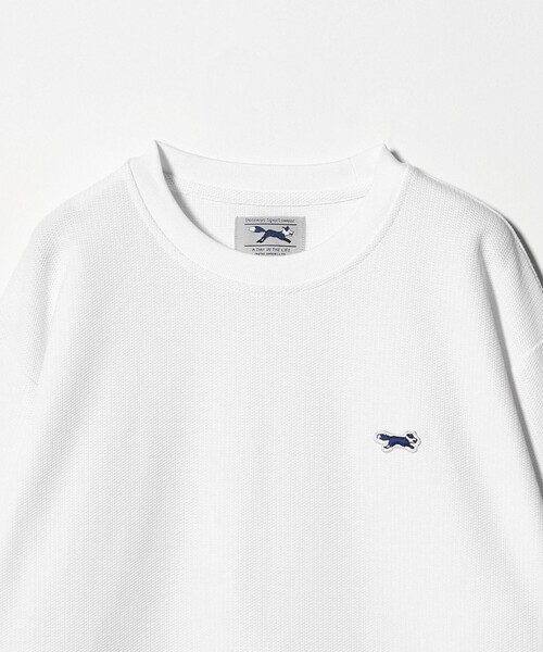 A DAY IN THE LIFE UNITED ARROWS(アデイインザライフユナイテッドアローズ)の「【別注】 <PENNEYS>ニット ライク カットソー<A DAY IN THE LIFE>(Tシャツ/カットソー・メンズ・ブラック/ホワイト・M/L)」の16枚目の写真