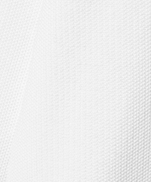 A DAY IN THE LIFE UNITED ARROWS(アデイインザライフユナイテッドアローズ)の「【別注】 <PENNEYS>ニット ライク カットソー<A DAY IN THE LIFE>(Tシャツ/カットソー・メンズ・ブラック/ホワイト・M/L)」の18枚目の写真