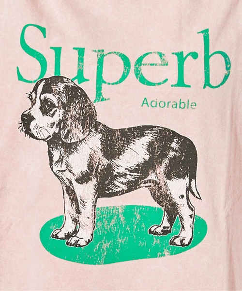 GORGE(ゴージ)の「《ピグメント・ドッグ》Tシャツ/カジュアル×ストリート/春夏/全3色(Tシャツ/カットソー・レディース・スミクロ/ピンク/グレー・F)」の14枚目の写真