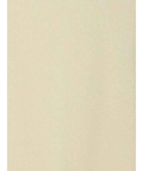 Te chichi（テチチ）の「ラメタートルネックカットソー（Tシャツ/カットソー・レディース・ゴールド/シルバー/ブラック・ﾌﾘ-）」の19枚目の写真