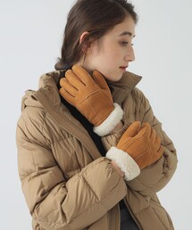 Casselini(LZ[j)Casselini / nM [g O[u()