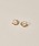 novice�i�m�[���B�X�j�́u�ynovice�zCurl Twist Pierce�i�s�A�X�i�����p�j�j�v�b�S�[���h