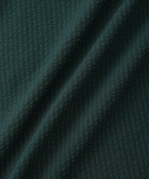 Saturdays NYC（サタデーズ ニューヨークシティ ）の「Timothy Seersucker Stripe Swim Short（水着・メンズ・グリーン/サックスブルー・XL/L/M/S/X-SMALL）」の3枚目の写真