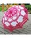 BACKYARD FAMILY�i�o�b�N���[�h�t�@�~���[�j�́u���P pk984806�i���P�j�v�b���[�Y