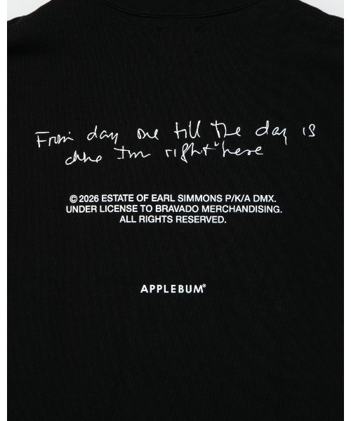APPLEBUM(アップルバム)の「Neon Photo T-shirt(Tシャツ/カットソー・メンズ・ホワイト/ブラック・XX-LARGE/X-LARGE/LARGE/MEDIUM)」の10枚目の写真