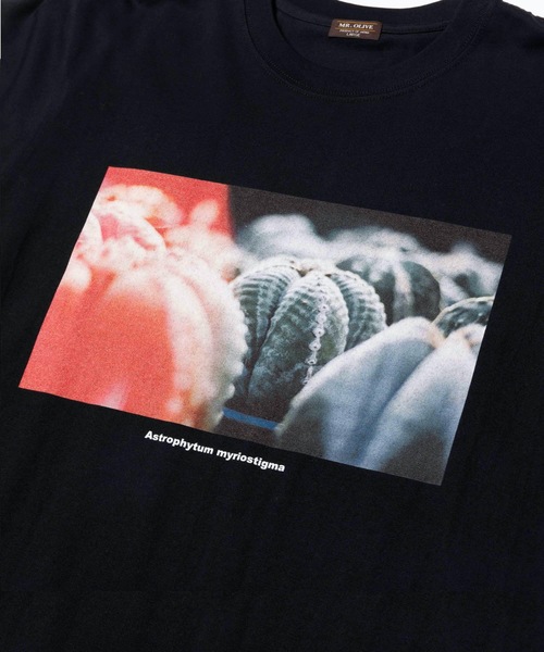 MR.OLIVE（ミスターオリーブ）の「MR.OLIVE(ミスターオリーブ)×鶴仙園 コラボレーション / SABO-1 ロングスリーブ フォト グラフィック アートTシャツ(ロンT)（Tシャツ/カットソー・メンズ・ブラック/オフホワイト・LARGE/MEDIUM/X-LARGE）」の6枚目の写真