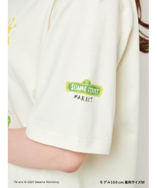 SESAME STREET（セサミストリート）の「【ヒラノトシユキ】【UNISEX】オリジナルアートTシャツ（Tシャツ/カットソー・レディース・アイボリー/チャコールグレー・MEDIUM/LARGE）」の16枚目の写真