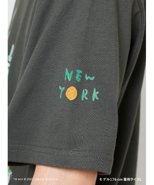SESAME STREET（セサミストリート）の「【ヒラノトシユキ】【UNISEX】オリジナルアートTシャツ（Tシャツ/カットソー・レディース・アイボリー/チャコールグレー・MEDIUM/LARGE）」の22枚目の写真