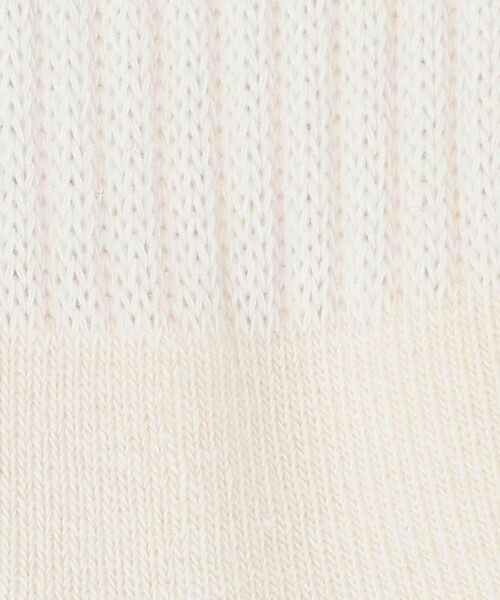 Healthknit(ヘルスニット)の「<Healthknit>バックロゴ ソックス / 靴下 / キッズ 19cm-21cm(ソックス/靴下・キッズ・その他1・19-21cm)」の2枚目の写真