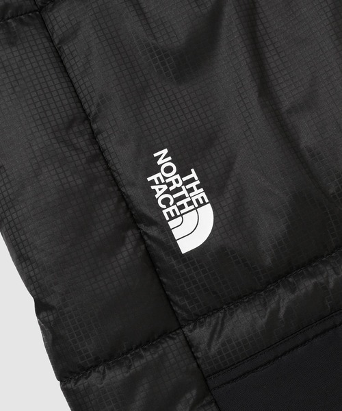 eYe JUNYA WATANABE MAN(アイジュンヤワタナベマン)の「「THE NORTH FACE」W-NAME ESTER COAT(ダウンジャケット/コート・メンズ・ブラック・L/M/S/XS)」の9枚目の写真