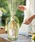DR. VRANJES�i�h�b�g�[�������j�G�X�j�́uPOMPELMO CASSIS �q�|���y�����E�J�V�X�r 250ml �f�B�t���[�U�[�i���[���t���O�����X/�����j�v�b���̑�