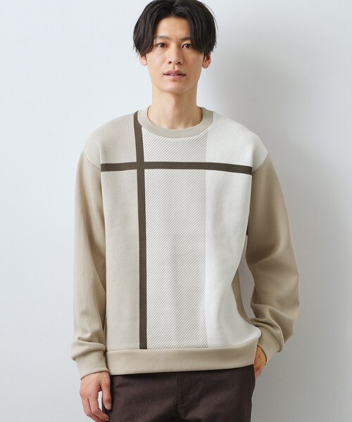 THE SHOP TK (ザ ショップ ティーケー )の「チェック柄ダンボール スウェット 洗濯機OK(Tシャツ/カットソー・メンズ・ホワイト系4/ホワイト系8/ベージュ系1・04/03/02)」の16枚目の写真