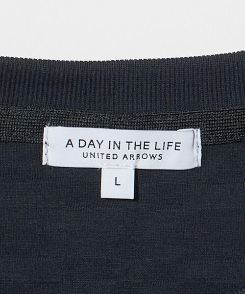 A DAY IN THE LIFE UNITED ARROWS(アデイインザライフユナイテッドアローズ)の「リンクス チェック ジャスト カットソー<A DAY IN THE LIFE>(Tシャツ/カットソー・メンズ・ベージュ/ネイビー/ホワイト・M/S/L)」の12枚目の写真