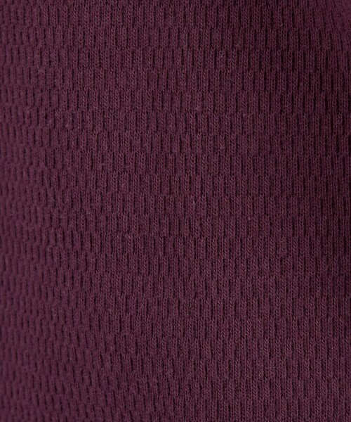 Healthknit(ヘルスニット)の「【Healthknit/ヘルスニット】サーマルキング ハニカムクロップドクルー/(Tシャツ/カットソー・レディース・ボルドー/オフホワイト/ブラック・フリー)」の13枚目の写真