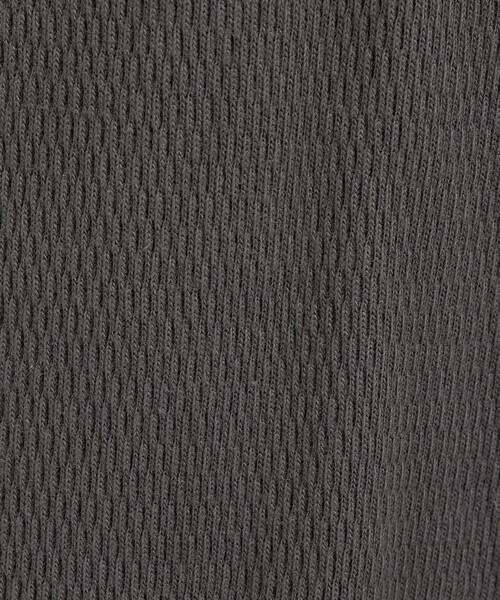 Healthknit(ヘルスニット)の「【Healthknit/ヘルスニット】サーマルキング ハニカムクロップドクルー/(Tシャツ/カットソー・レディース・ボルドー/オフホワイト/ブラック・フリー)」の18枚目の写真