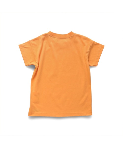 Pokemon/ポケットモンスター（ポケモン）】半袖Tシャツ（Tシャツ