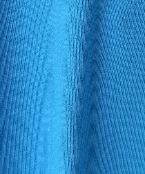 Champion（チャンピオン）の「＜Champion＞TJ クルーネックス ウェットシャツ / キッズ  100cm-130cm（スウェット・キッズ・オフホワイト/レッド/コバルトブルー・100cm/110cm/120cm/130cm）」の19枚目の写真