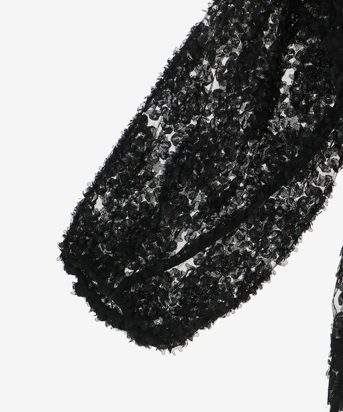 le.coeur blanc（ルクールブラン）の「TORRAZZO DONNAエンブロイダリーレースブラウス（シャツ/ブラウス・レディース・ホワイト/ブラック・38）」の21枚目の写真