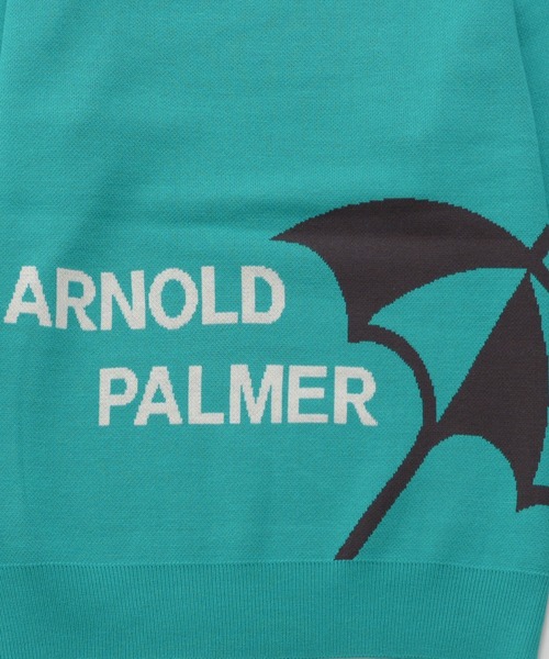 Arnold Palmer(アーノルドパーマー)の「シェア ジャガード ロゴニット プルオーバー(ニット/セーター・レディース・サーモンピンク/グリーン/チャコールグレー/アイボリー・L/M/S/XS/LL)」の11枚目の写真